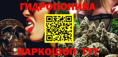 скорость Кандалакша