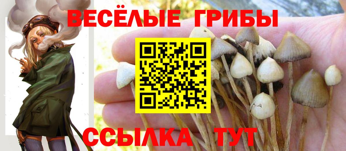Галлюциногенные грибы MAGIC MUSHROOMS  купить наркотики сайты  Лесной  Вход с VPN 
